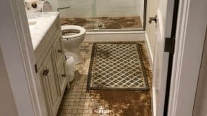 sewage backup vs overflow