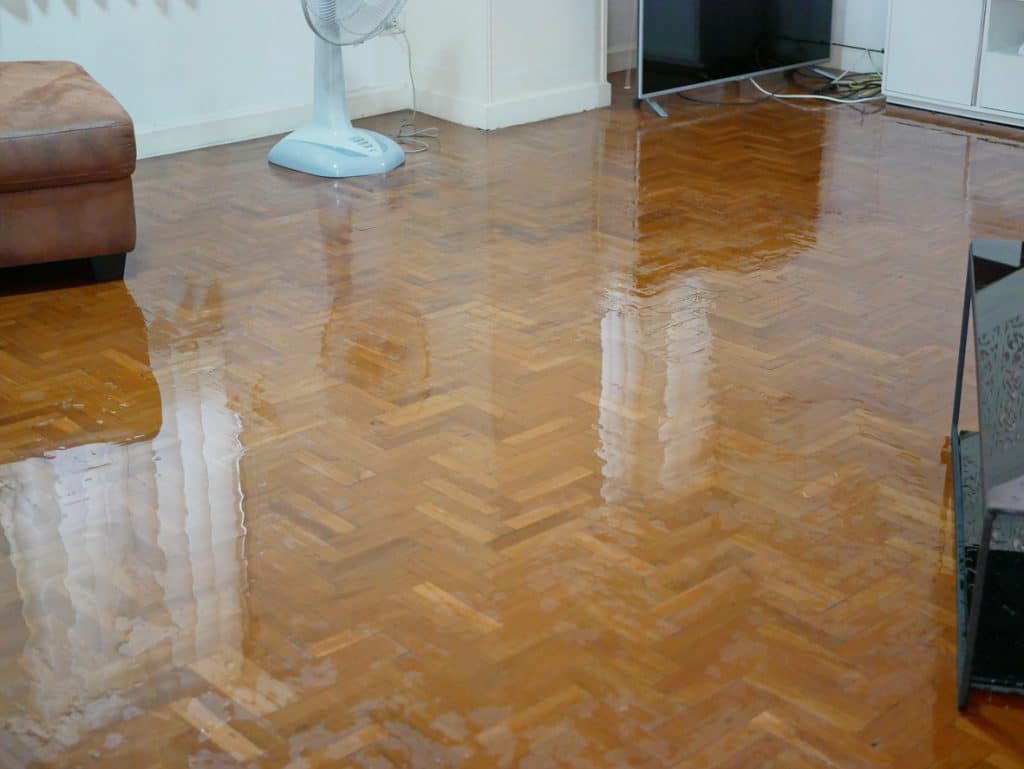 damage caused by water leakage